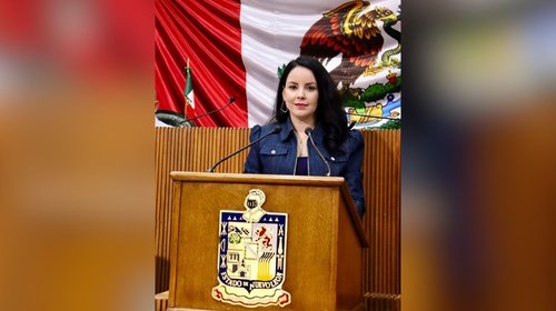 Impulsan desde Congreso uso voluntario de mochilas transparentes