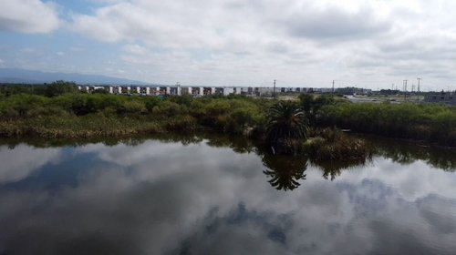 Invaden desarrollos y parques industriales 'oasis' en Zuazua