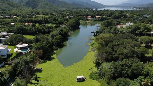 Plaga de lirio acuático en presa de La Boca amenaza agua y fauna