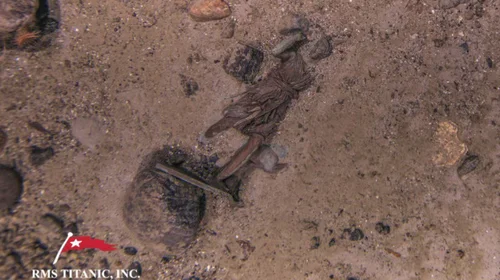 Recuperan la estatua perdida del Titanic 'Diana de Versalles'