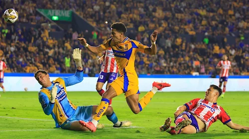Los Tigres viven un 2024... sin rugido y sin garra