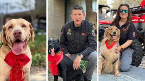 Se roban miradas 'perritos revolucionarios' en el desfile