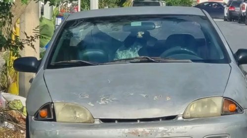 Denuncian presunto robo de mascotas en colonia Molinos del Rey