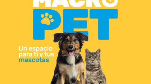 Celebrarán a los perros y gatos en el Macro Pet