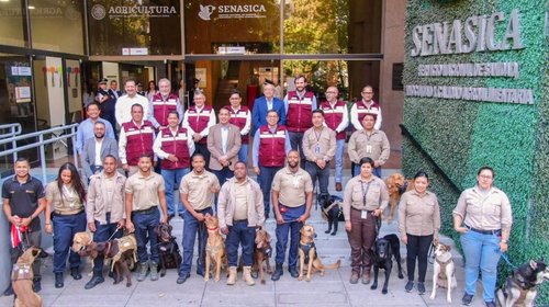 Refuerza México fronteras con perros detectores por Mundial 2026