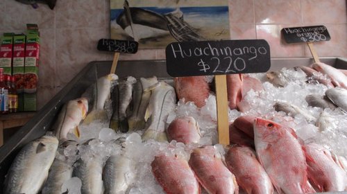Garantizan abasto de pescados y mariscos para temporada actual