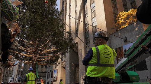Llega al Rockefeller Center el árbol de Navidad 2025