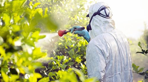 Gobierno de México veta 35 plaguicidas por riesgos a la salud