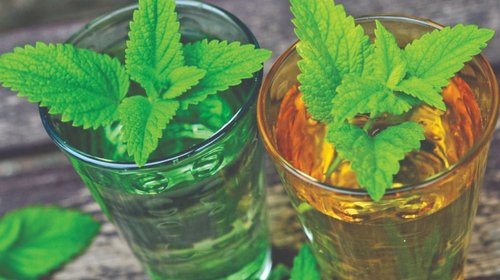 Infusiones que te ayudan a llevar los efectos de la menopausia