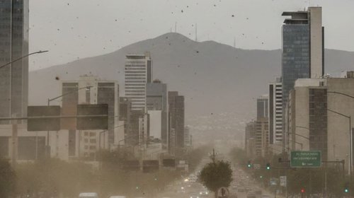 Registra Nuevo León altos niveles de polvo y tolvaneras