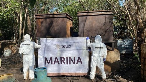Desmantela Marina narcolaboratorio en Nayarit