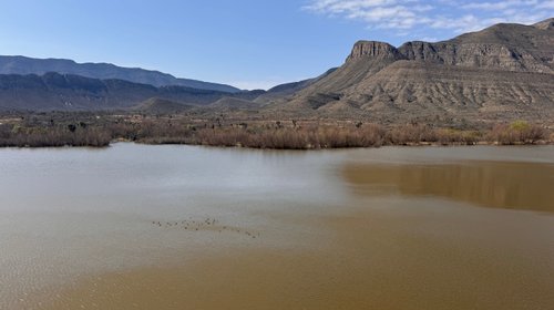 Finaliza operativo de búsqueda de cocodrilos en presa Palo Blanco