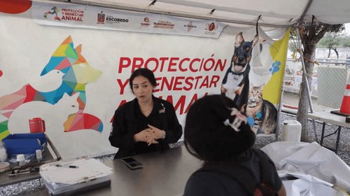 Rescatan a pequeña chiva y a dos perros en mal estado en Escobedo