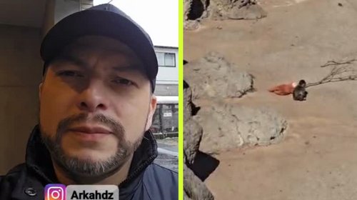 Regio conoce a 'Punch' mono viral de Japón y relata su encuentro