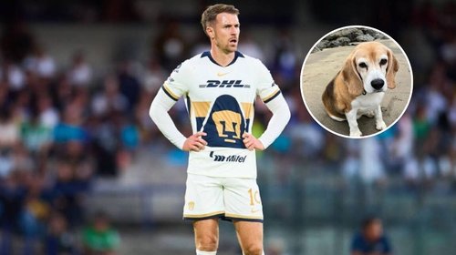 Afirman que Aaron Ramsey dejó Pumas tras perder a su perrita Halo