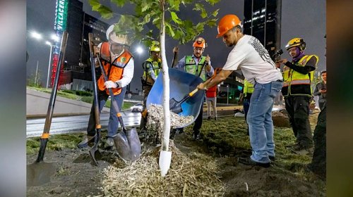 Realizan reforestación nocturna en el Centro de Monterrey