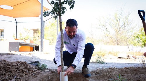Reforesta Medio Ambiente CECyTE García II con plantas nativas