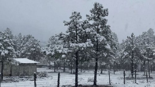 Refuerzan protocolos por tercera temporada invernal en México