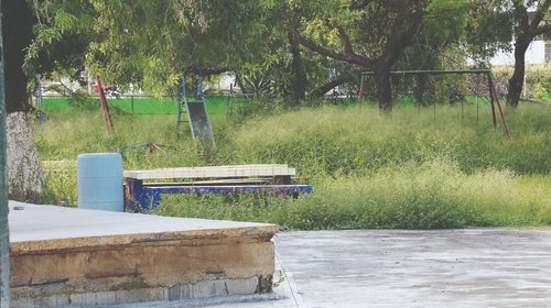 Reportan padres de familia escuelas convertidas en 'selvas'