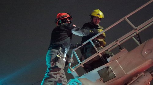 Rescatan a gatito atrapado en un pino en Guadalupe
