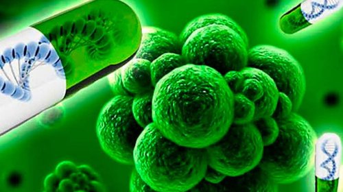 Resistencia antimicrobiana es una amenaza: Secretaría de Salud