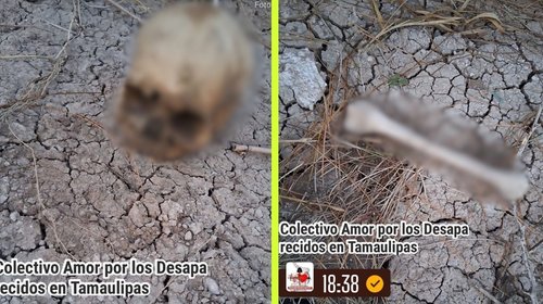 Localiza colectivo restos humanos en ejido Palo Blanco