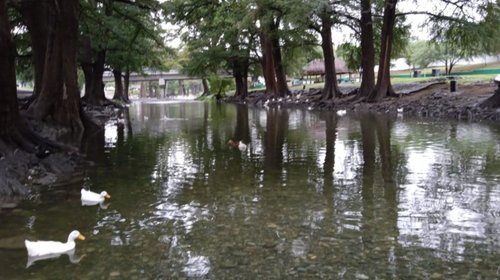 Presenta río La Silla nueva cara y espera visitantes