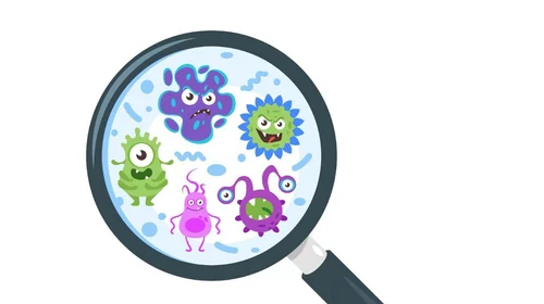 ¿Sabes diferenciar entre una infección bacteriana y una viral?