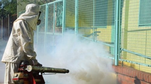 Salud intensifica acciones de fumigación contra el dengue