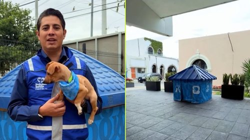 Instala San Pedro refugios para mascotas ante ola de frío