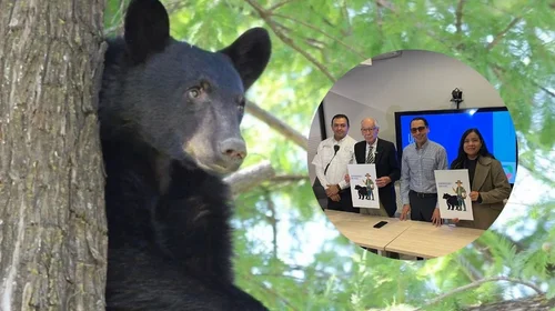 San Pedro tendrá guardabosques para atender presencia de osos