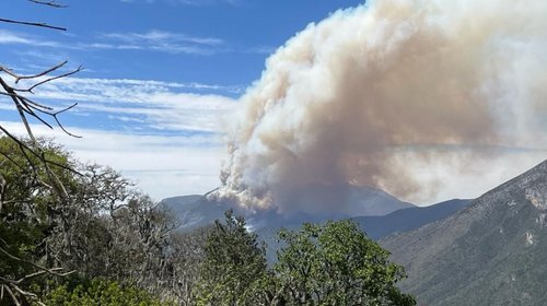 Multas millonarias y prisión para autores de incendios forestales