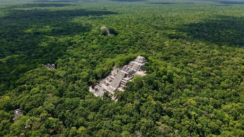 Celebra Federación acuerdo trilateral para proteger la Selva Maya