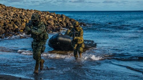 Senado avala envío de marinos a EUA para capacitación táctica