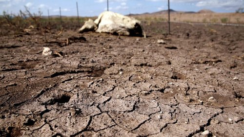 Pega sequía a producción de azúcar; se dispara precio