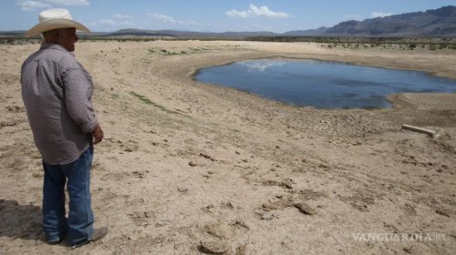 Sequía mantiene afectaciones al campo y ganado de Coahuila