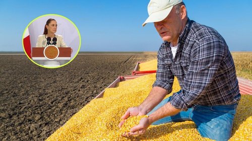 Gobierno negocia con agricultores ante caída en precios de granos