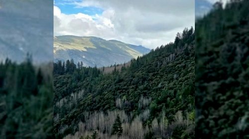 Caen cinco por fogatas y tirar basura en Sierra de Arteaga