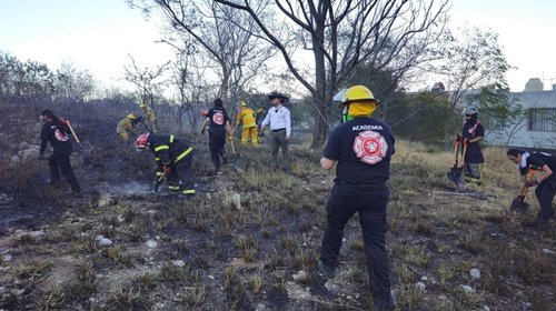 Sofocan incendio en zona alta del cerro de La Silla