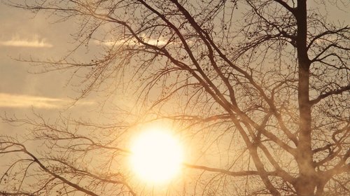 Tamaulipas tendrá calor de hasta 40 grados y vientos
