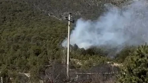 Controlan incendio forestal en el ejido Los Lirios en Arteaga