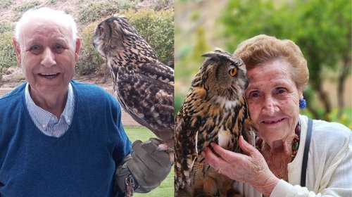 Conoces los benéficos de los terapeutas con 'picos y plumas'