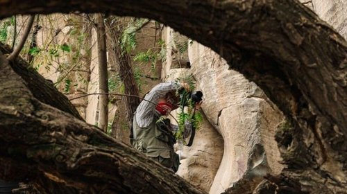 Hallan arte rupestre milenario en ruta del tren México–Querétaro