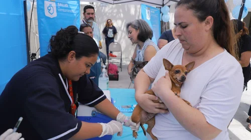 ¿Tienes mascotas? NL aplicará vacuna antirrábica este sábado