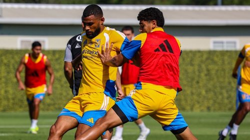 Alista Tigres al ‘bombero’ para salir del fondo