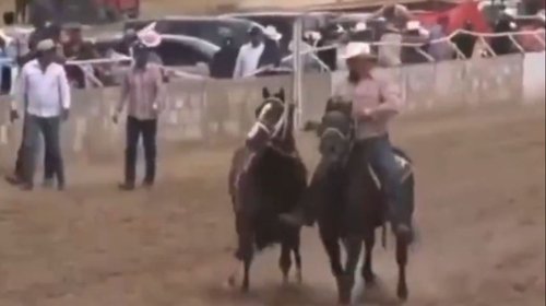 Riña en carrera de caballos deja al menos 7 muertos en Chihuahua