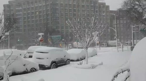 Tormenta invernal paralizan a millones en EUA