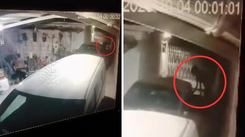 Captan a supuesto nahual transformándose en mujer en Coahuila
