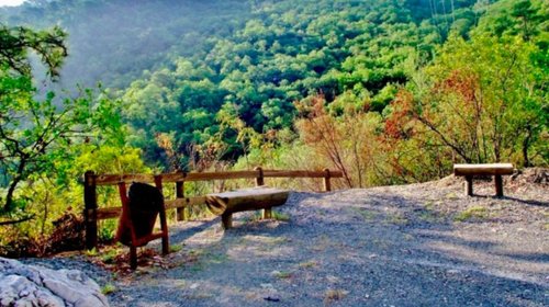Tras desastres de Alberto, el Parque Chipinque reabre sus puertas