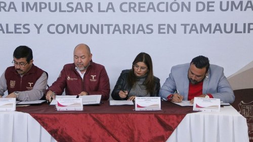 Traza Tamaulipas acciones de conservación de vida silvestre